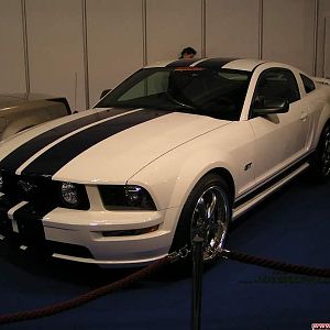 Mustang :D